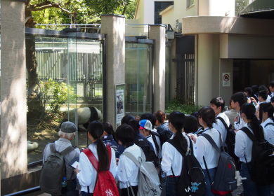 (写真1)新入生を対象に行われる上野動物園特別案内授業の様子