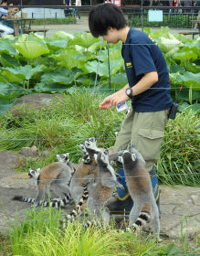 (写真2)上野動物園で働く卒業生