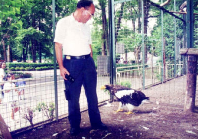 (写真3)45年後の1996年、上の写真に写っていたIさんらを円山動物園に招待し、 オオワシと懐かしの対面をしたところです。もちろん、バーサンは分かっていなかったと思いますが…。