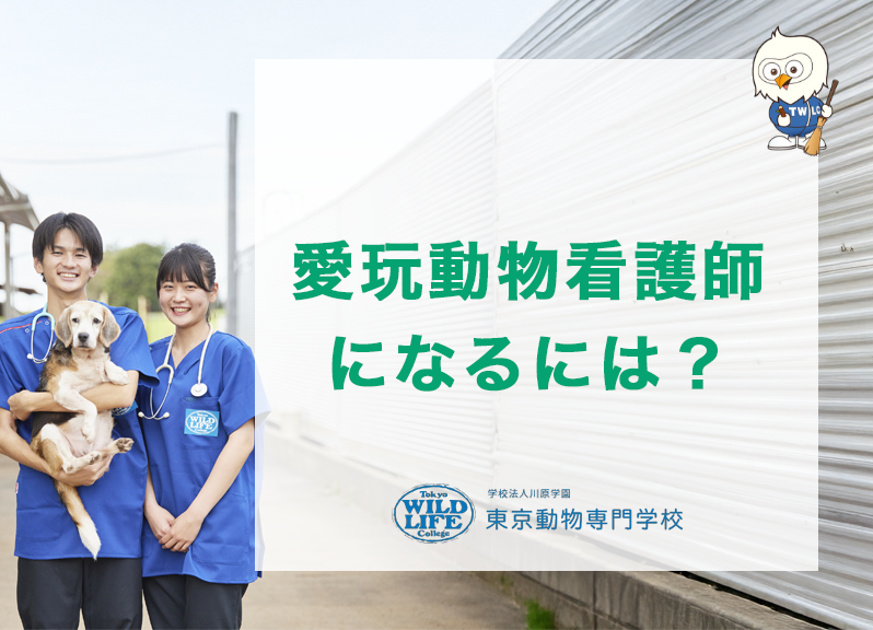 愛玩動物看護師になるには？