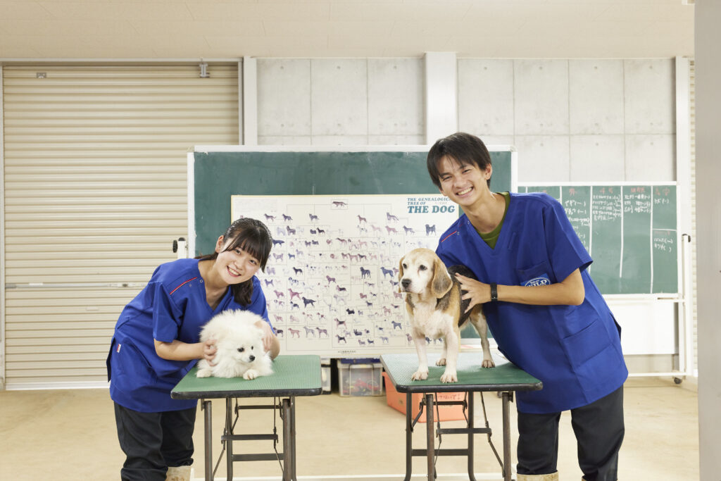 協力して学ぶ愛玩動物看護師