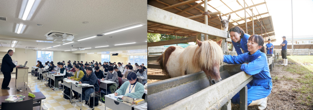 東京動物専門学校の講義と実習