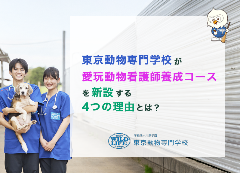 東京動物専門学校が愛玩動物看護師養成コースを新設する4つの理由とは？