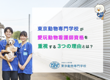 東京動物専門学校が愛玩動物看護師資格を重視する3つの理由とは？