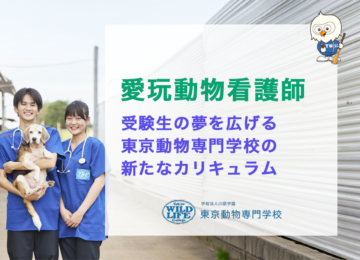 愛玩動物看護師：受験生の夢を広げる東京動物専門学校の新たなカリキュラム