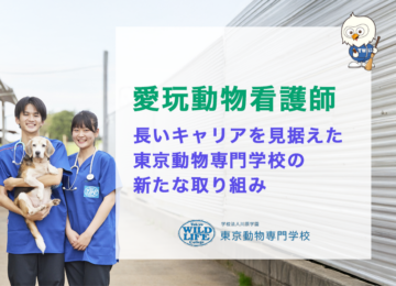 愛玩動物看護師：長いキャリアを見据えた東京動物専門学校の新たな取り組み