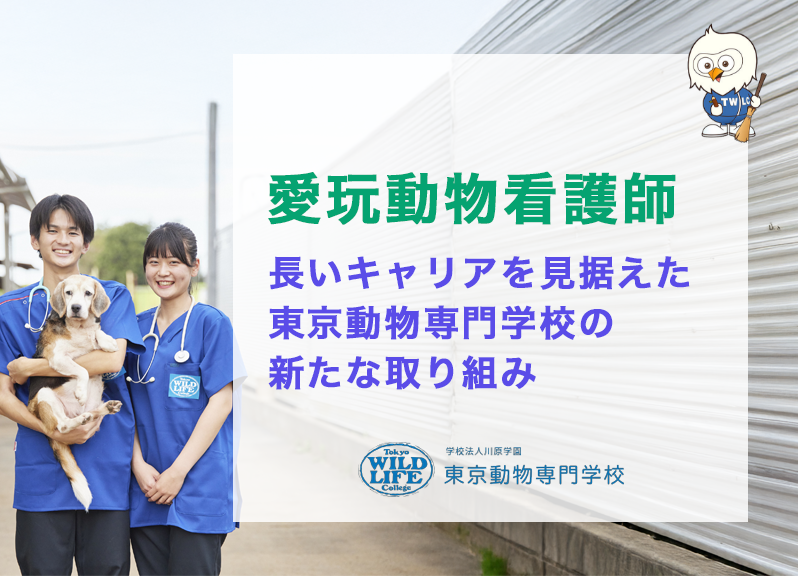 愛玩動物看護師：長いキャリアを見据えた東京動物専門学校の新たな取り組み