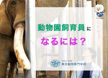 動物園飼育員になるには？必要な資格や学歴と応募のポイント