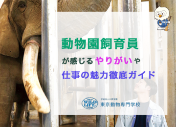 動物園飼育員が感じるやりがいや仕事の魅力徹底ガイド