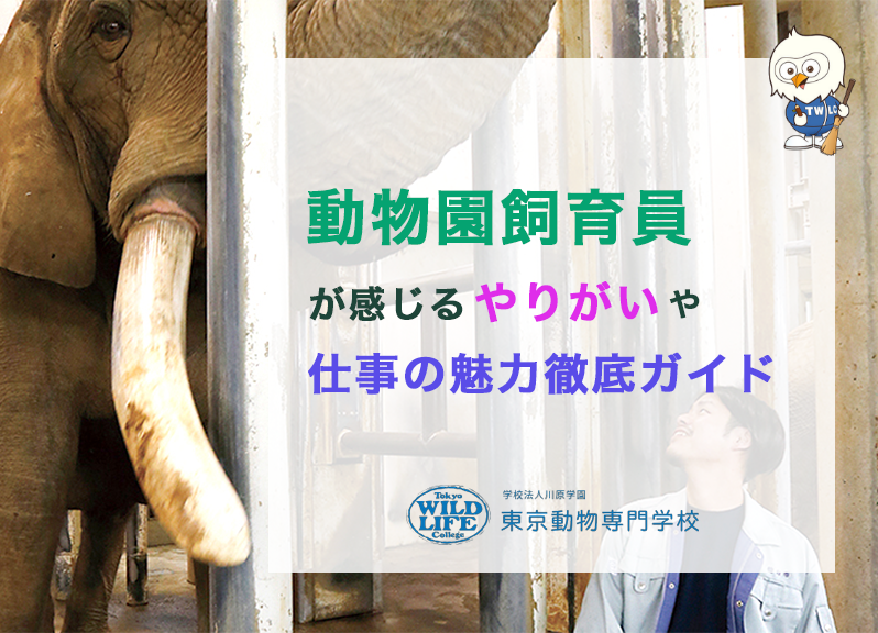 動物園飼育員が感じるやりがいや仕事の魅力徹底ガイド