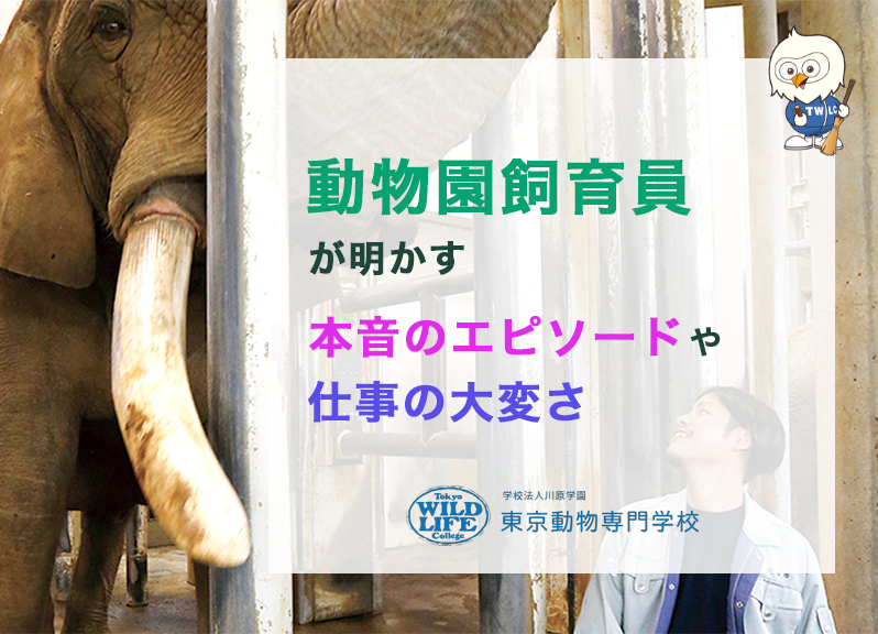 動物園飼育員が明かす本音のエピソードや仕事の大変さ