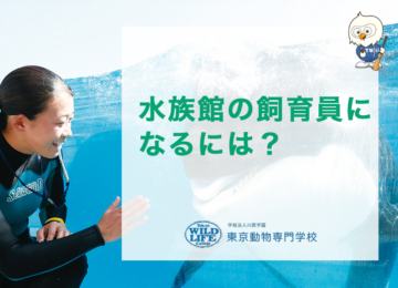 水族館の飼育員になるには？待遇・資格・学校の選び方を徹底解説！