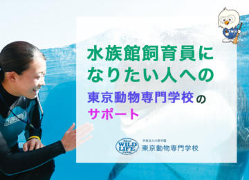 水族館の飼育員になりたい人への東京動物専門学校のサポート