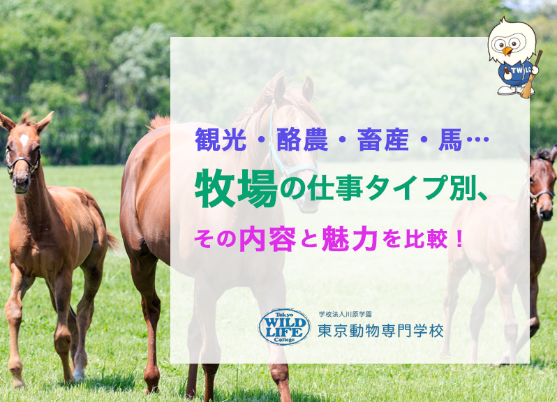 観光・酪農・畜産・馬…牧場の仕事タイプ別、その内容と魅力を比較!
